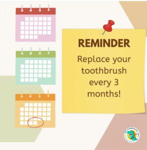 Replace your toothbrush every 3 months